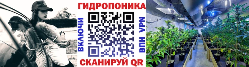 Магазины продажи наркотиков Новозыбков ГАШ ссылка на мегу ONION Меф мяу мяу Конопля