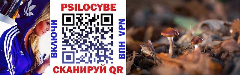 Псилоцибиновые грибы ЛСД  Новозыбков 