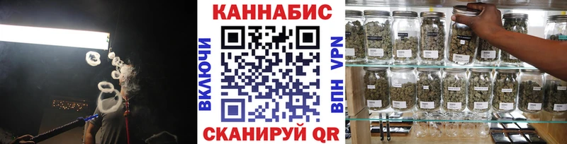 Конопля сатива Новозыбков